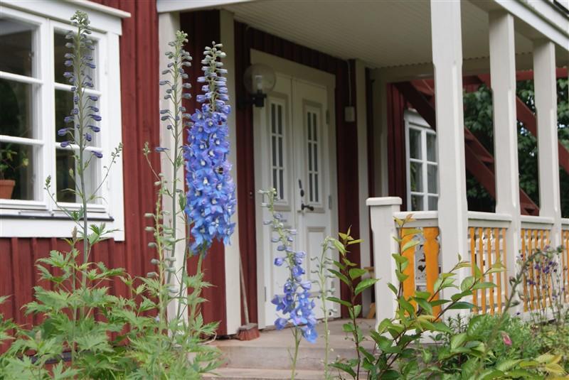Hallagardens B&B Vintrosa Экстерьер фото